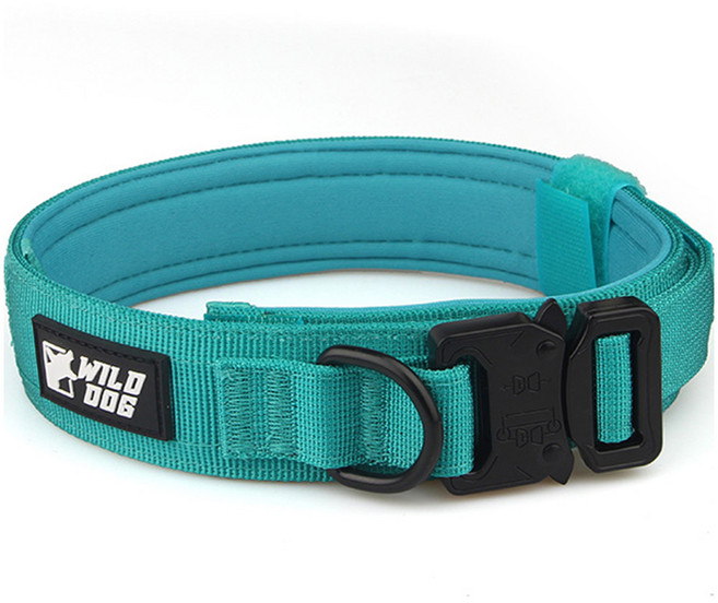 와일드독 강아지 메탈칼라 목줄, 블루그린, 1개