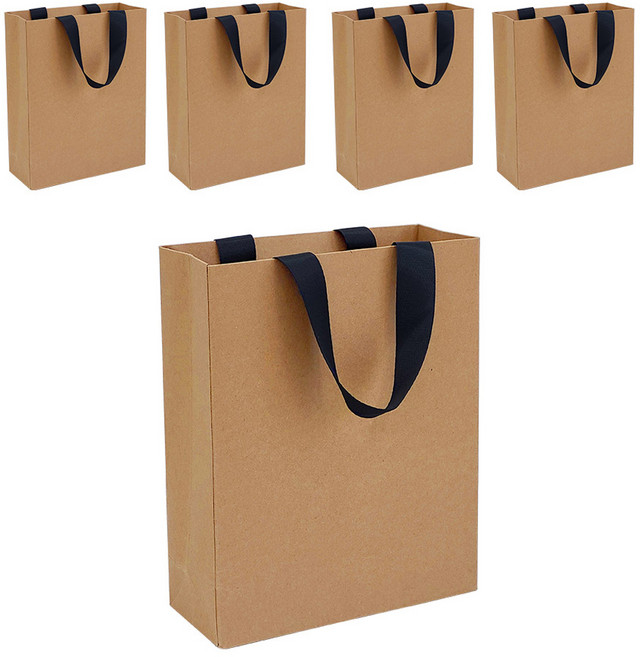 리드홈 튼튼한 크라프트 가방끈 선물포장 무지 쇼핑백 일반형, 혼합색상, 5개