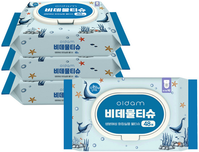 올담 고래 에디션 비데물티슈 캡형, 4팩, 48매, 177g