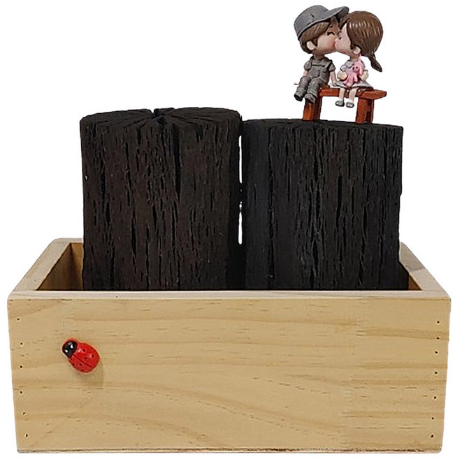 가꾸지오 우드박스 + 참숯 1kg 세트, 1세트