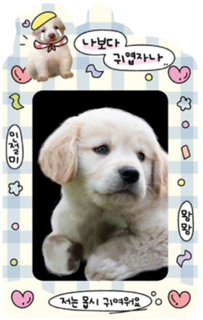 마넷 포토카드 홀더 + 키링 세트, 블루 + 화이트(부끄댕), 1매