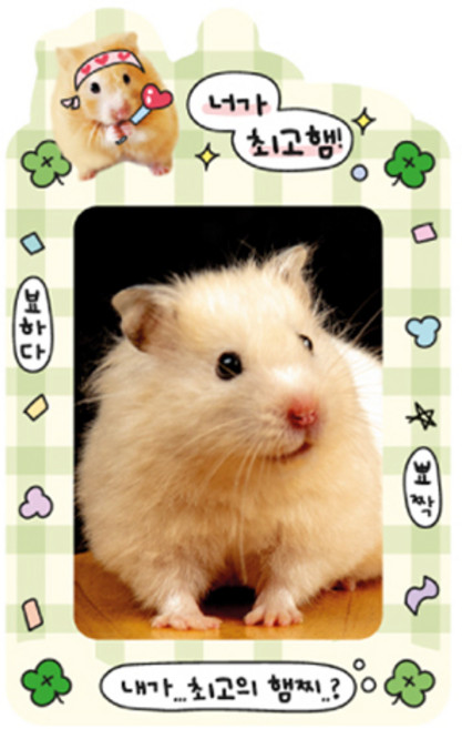 마넷 포토카드 홀더 + 키링 세트, 그린 + 옐로우(행운햄), 1매