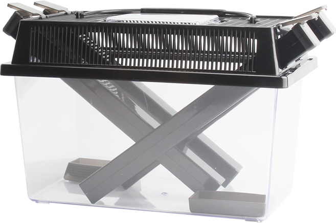 아쿠아선두 귀뚜라미 사육 케이스 L, 혼합색상, 1개