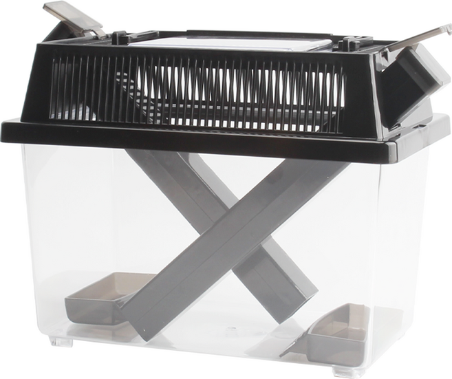 아쿠아선두 귀뚜라미 사육 케이스 M, 혼합색상, 1개