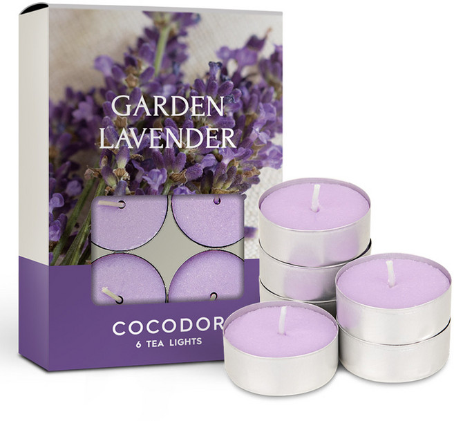 코코도르 티라이트, 가든라벤더, 10g, 6개