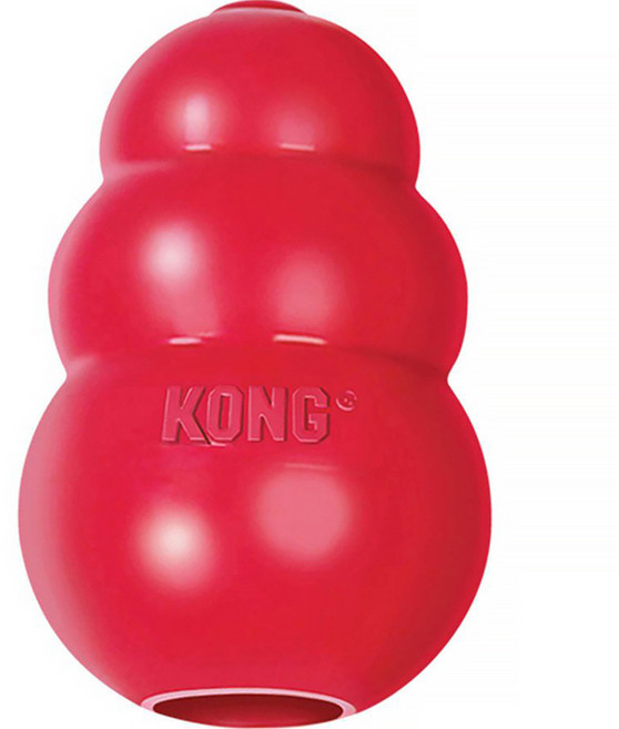 콩 강아지 노즈워크 고무장난감, 빨강색, 1개
