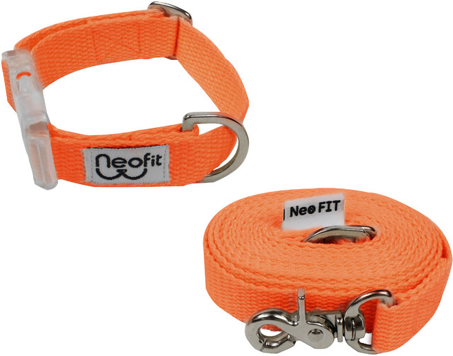 네오핏 강아지 초경량 목줄 세트, 오렌지, 1세트