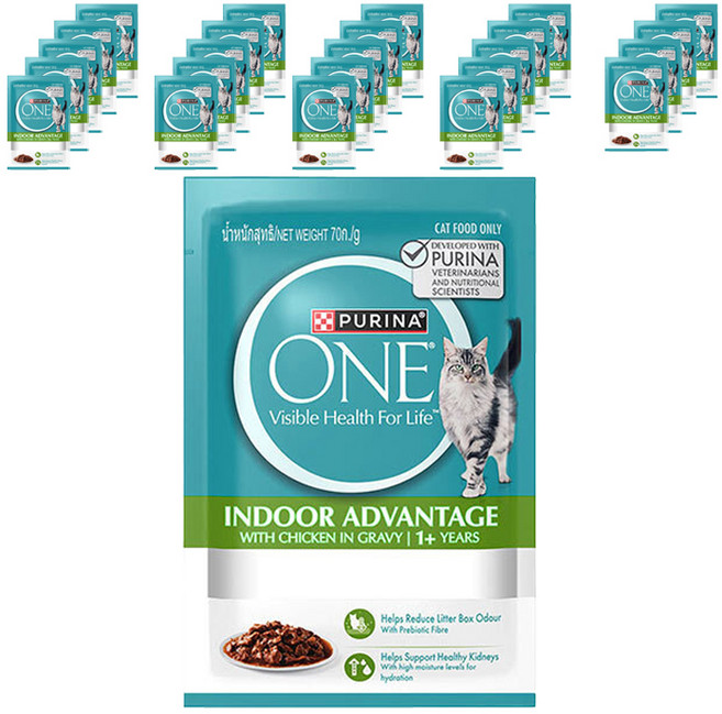 퓨리나원 어덜트 캣 습식 인도어 주식파우치, 닭, 70g, 24개