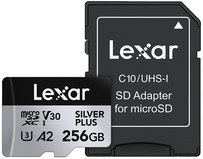 렉사 Professional Silver PLUS 마이크로SD 메모리카드, 256GB, 1개