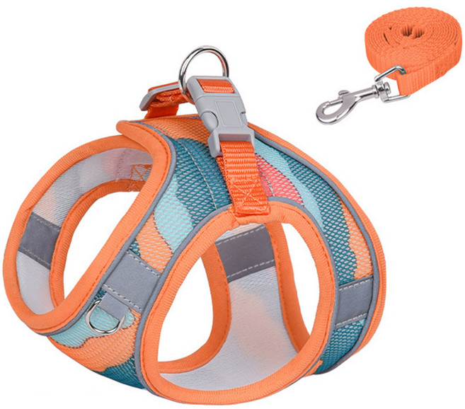 요런개 강아지 컬러풀 버블 리드줄 + 하네스 세트, 오렌지, 1세트