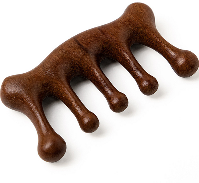 데일리조이 두피 괄사 마사지, 금단목 A, 1개