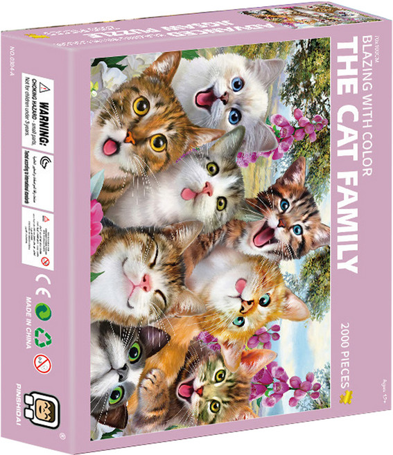 핀시다이 제이앤케이 집중력업 직소퍼즐, 2000피스, 상품24, 1개