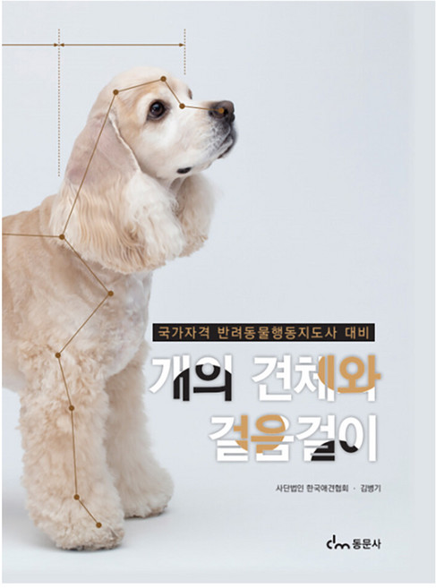 개의 견체와 걸음걸이, 동문사