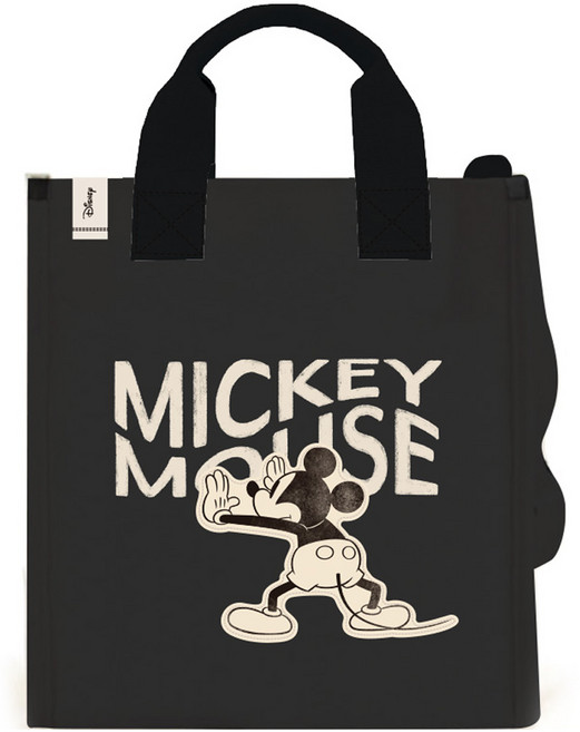 릴팡 디즈니 캔버스 보조가방