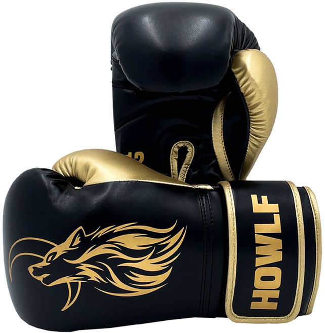 하울프 아테나 복싱 글러브 양손착용, 블랙 + 골드, 1세트
