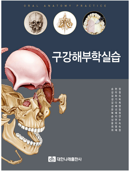 구강해부학실습, 대한나래출판사, 송현정, 김미정, 김화숙, 김기욱, 김다희, 김혜영, 문선정, 복혜정, 송지연, 심연수, 윤미숙, 최영숙, 최혜정