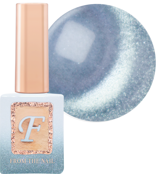 프롬더네일 MAGNET 컬러 젤네일, FG205, 10g, 1개