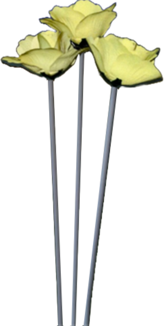 반디 반사꽃 3p, 옐로우