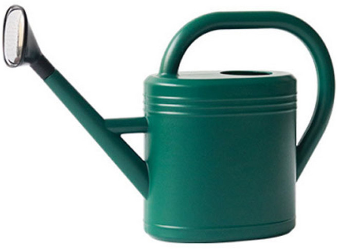 에버하우스 베이직 원예 물조리개 3L, 1개, 그린