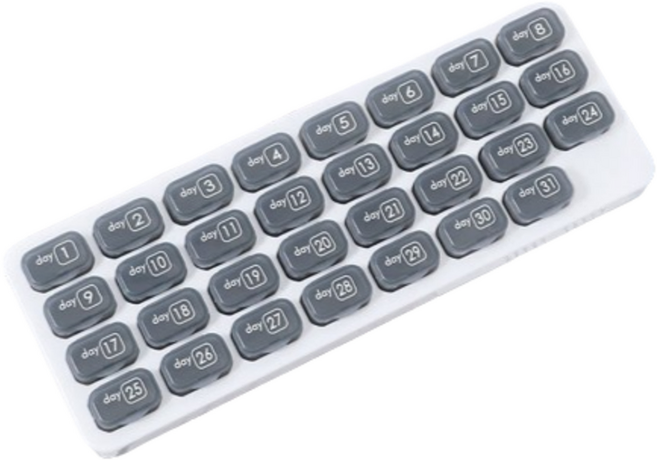 특별한상점 약 달력 한달 31일 대형 알약케이스 블랙, 1개