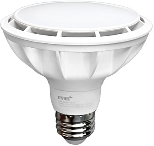 번개표 확산형 램프 LED PAR30 15W, 주광색, 1개