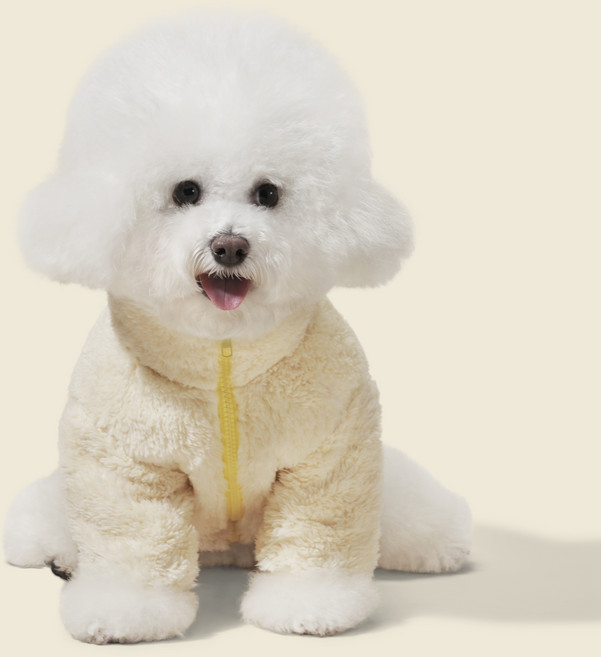 네오핏 강아지 파스텔 후리스, 옐로우, 1개