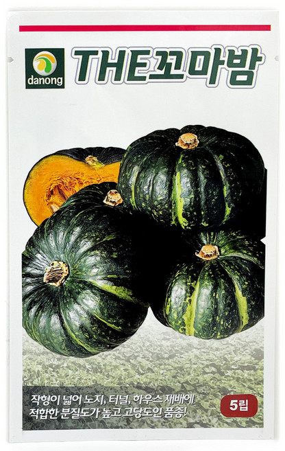다농 더꼬마밤 호박씨앗 5립, 1개