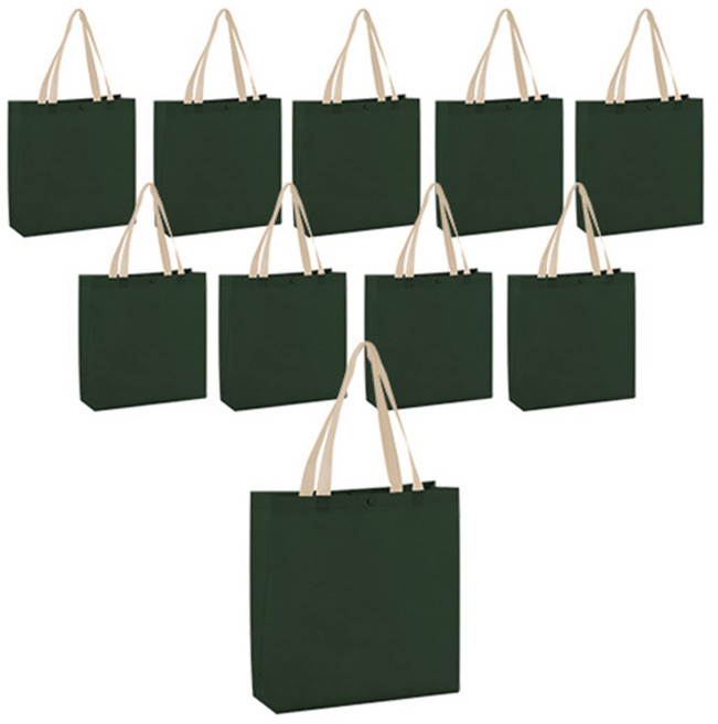 스타리움 다용도 심플 부직포 가방 소형, 그린, 10개