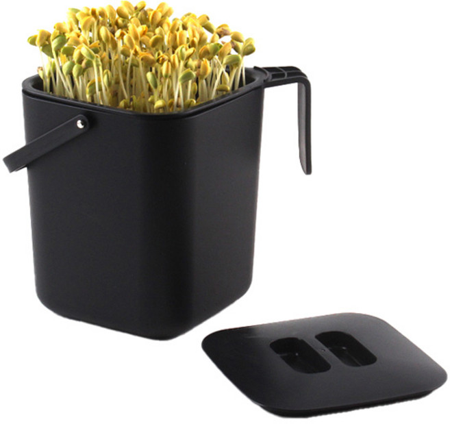 꾸밈 사각 콩나물 재배기 + 노란 콩나물 콩 세트, 1세트