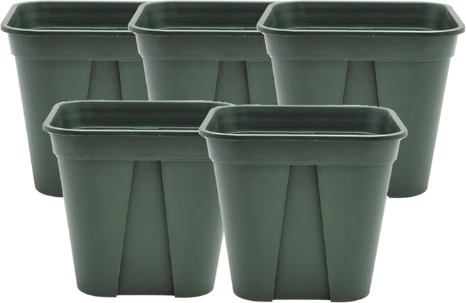 가든잇 트럼펫 사각 슬릿분, 5개