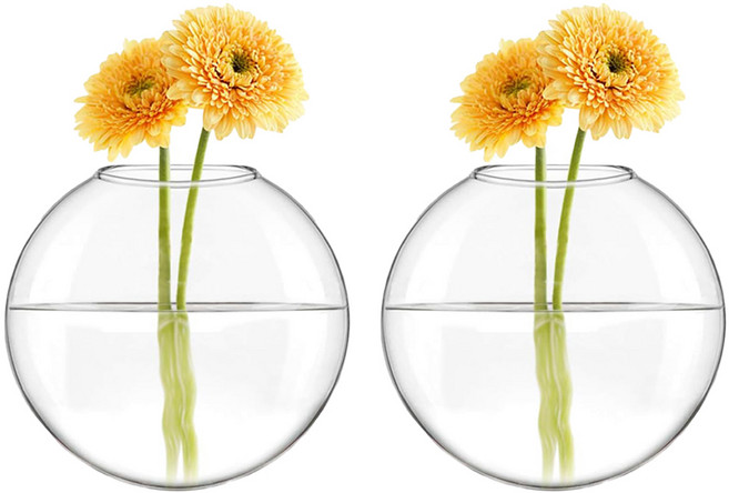 토비메모리 벽걸이 유리화병 2p, 투명
