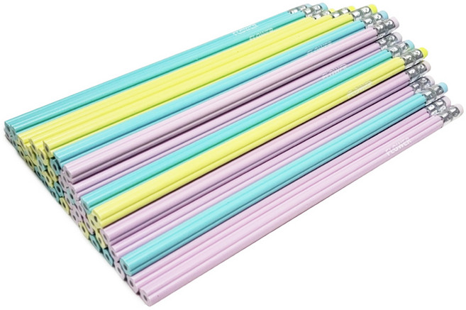 영아트 PS 파스텔 대용량 플라워연필 HB, 랜덤발송, 48개