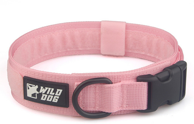 와일드독 강아지 커스텀 칼라 목줄, 핑크, 1개