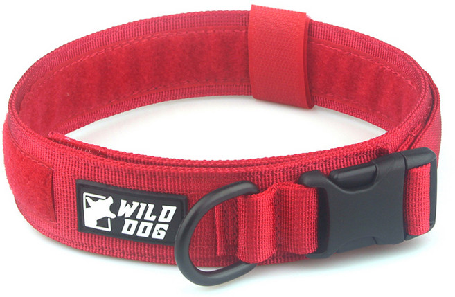 와일드독 강아지 커스텀 칼라 목줄, 레드, 1개