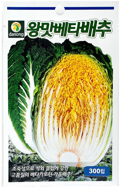 다농 왕맛베타배추 씨앗 300립, 1개