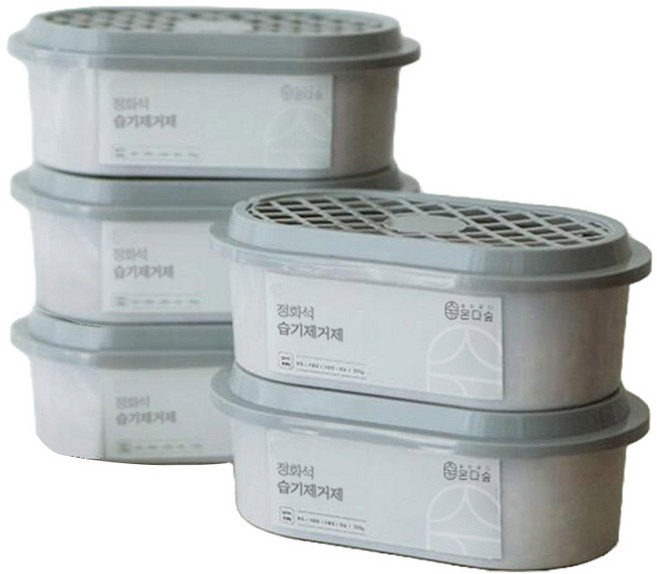 온다숲 반영구 제습제 본품, 300g, 5개