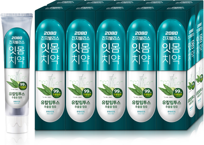 2080 진지발리스 후레쉬민트 유칼립투스향 치약, 150g, 10개
