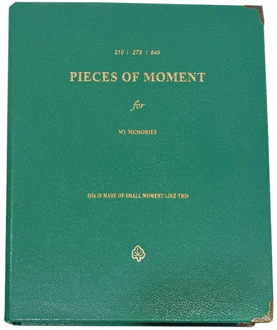 데이소이 마이 메모리즈 사진앨범 가로포토카드 6.6 x 9 cm, 12 그린, 30매