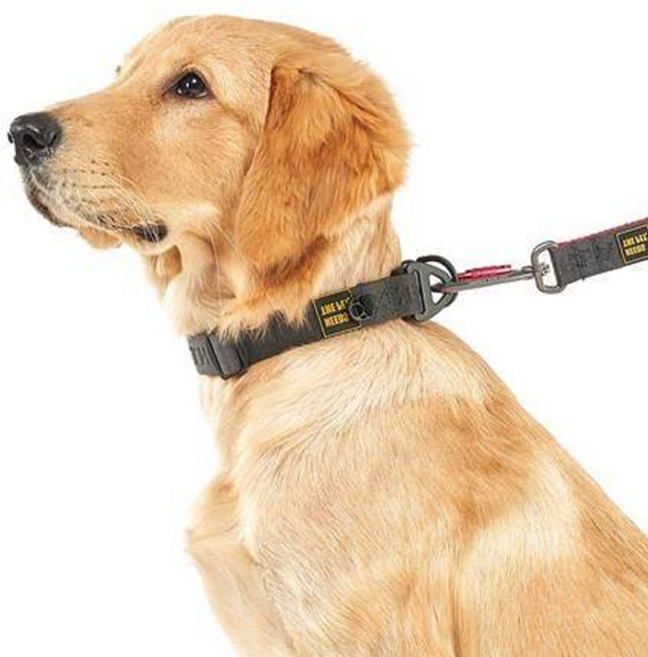 니즈더펫 어스텍 스탠다드 강아지 목줄, 다크그레이레드, 1개