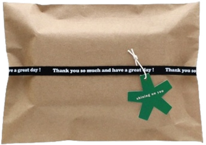 크라프트 그린속지 기프트백 M, 혼합색상, 10개