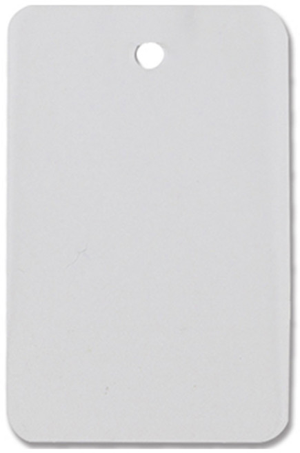 아이엔피 무지 PVC택 3.5 x 6.5 cm, 100개