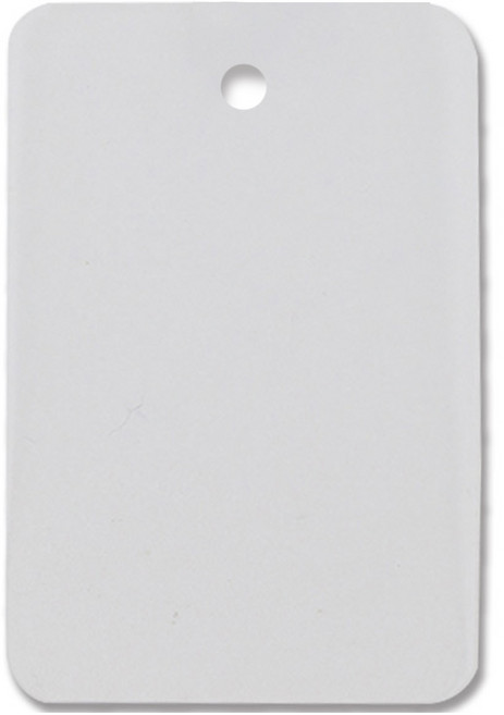 아이엔피 무지 PVC택 4 x 6 cm, 100장