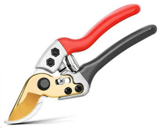 에코벨 강력 골드 전지가위 SK5, 1개