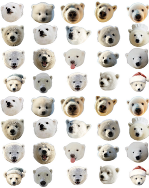 타이탄 다이어리 팬시 스티커, 흰곰, 2개