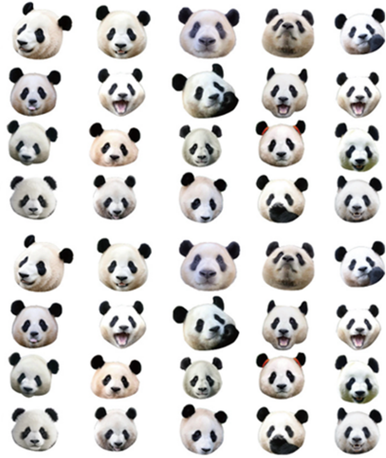 타이탄 다이어리 팬시 스티커, 판다, 2개