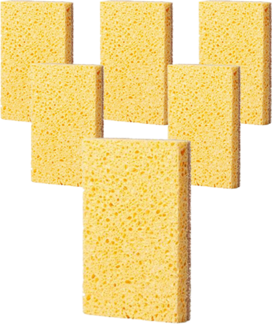 국대365 아가베 펄프 양면 수세미, 1개입, 6개