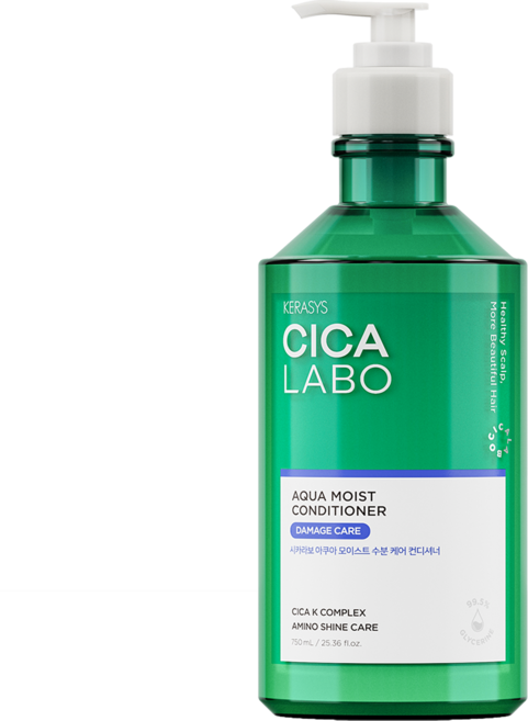 케라시스 시카라보 아쿠아 모이스트 수분 케어 컨디셔너, 750ml, 1개