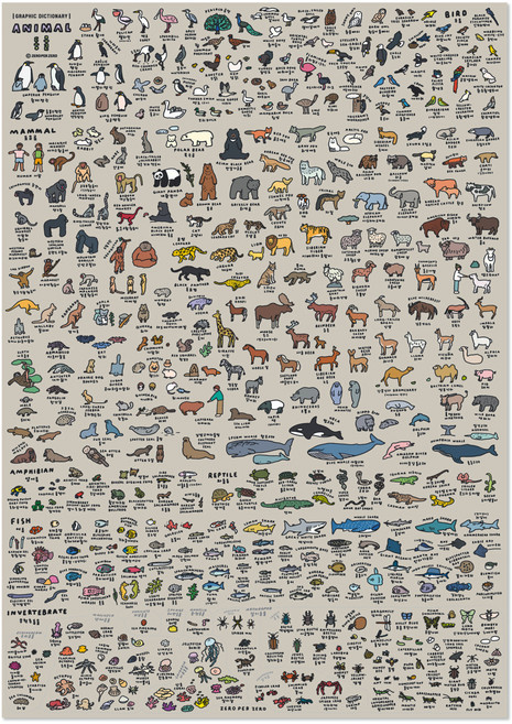 제로퍼제로 애니멀 딕셔너리 6090 포스터, 프레임없음