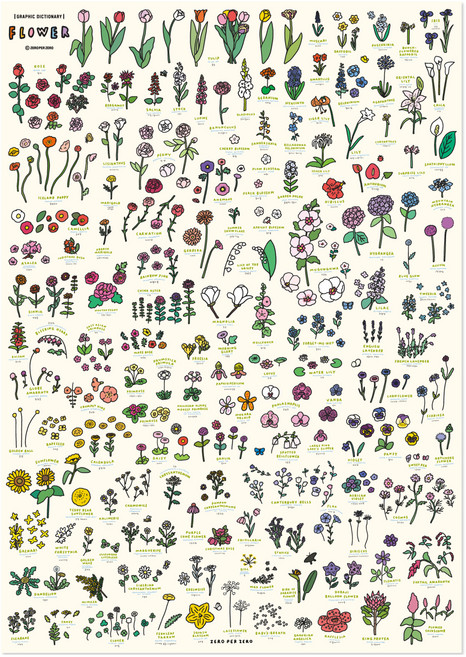 제로퍼제로 플라워 딕셔너리 6090 포스터, 프레임없음