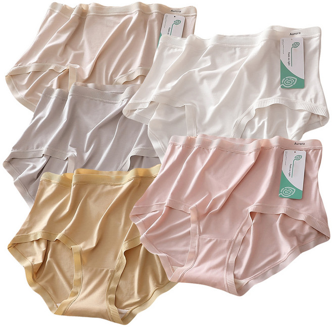 휴데이 여성 리얼빅사이즈 팬티 모달면비너스 5종 세트